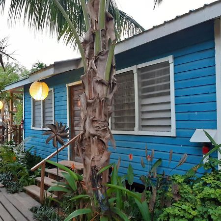 The Funky Dodo Backpackers Hostel Hopkins Buitenkant foto