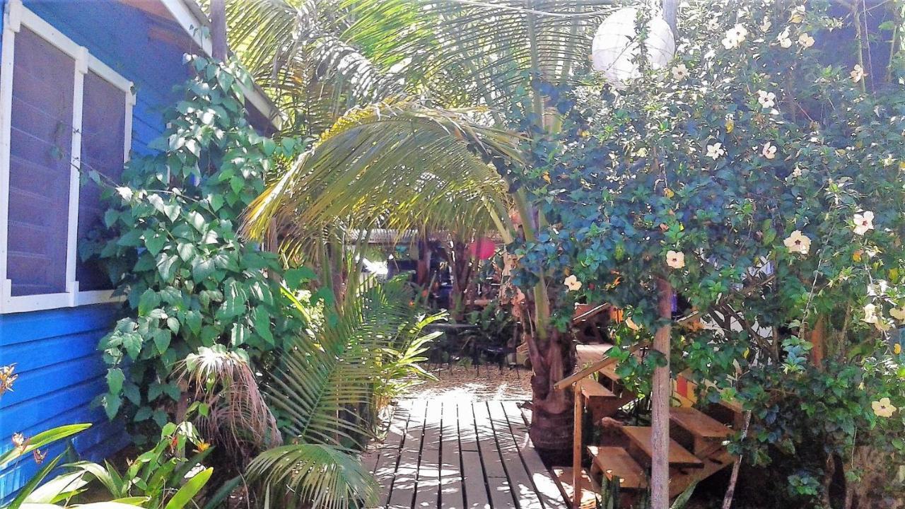The Funky Dodo Backpackers Hostel Hopkins Buitenkant foto