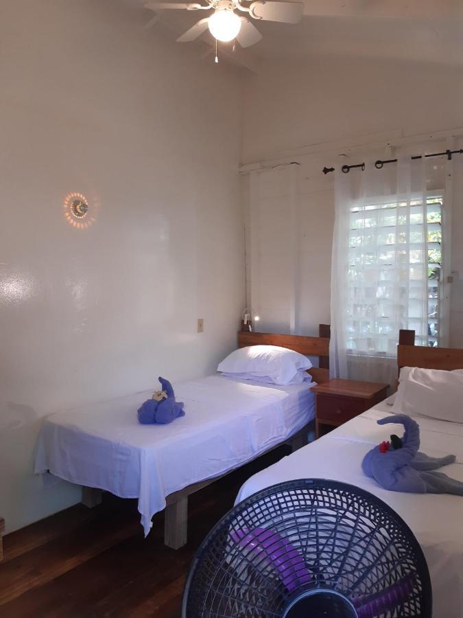 The Funky Dodo Backpackers Hostel Hopkins Buitenkant foto