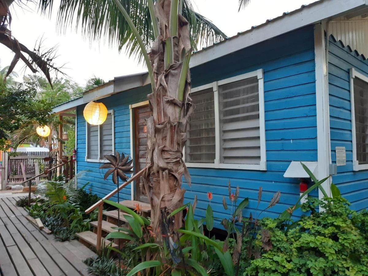 The Funky Dodo Backpackers Hostel Hopkins Buitenkant foto