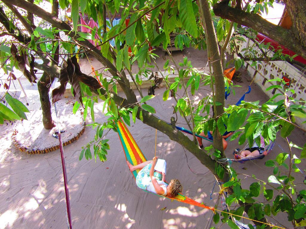The Funky Dodo Backpackers Hostel Hopkins Buitenkant foto