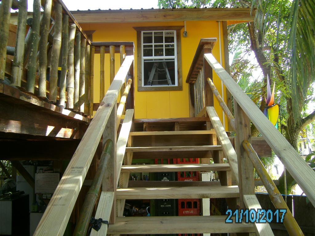 The Funky Dodo Backpackers Hostel Hopkins Buitenkant foto