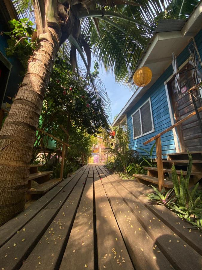 The Funky Dodo Backpackers Hostel Hopkins Buitenkant foto
