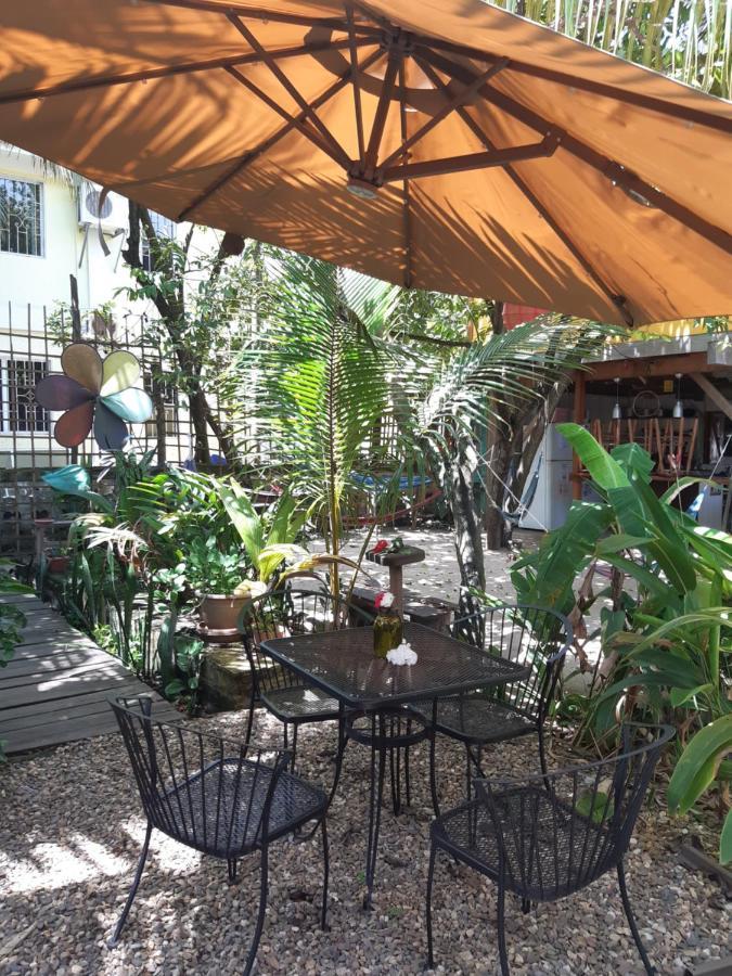 The Funky Dodo Backpackers Hostel Hopkins Buitenkant foto