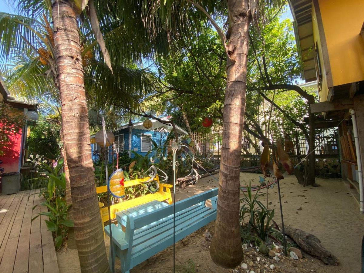 The Funky Dodo Backpackers Hostel Hopkins Buitenkant foto