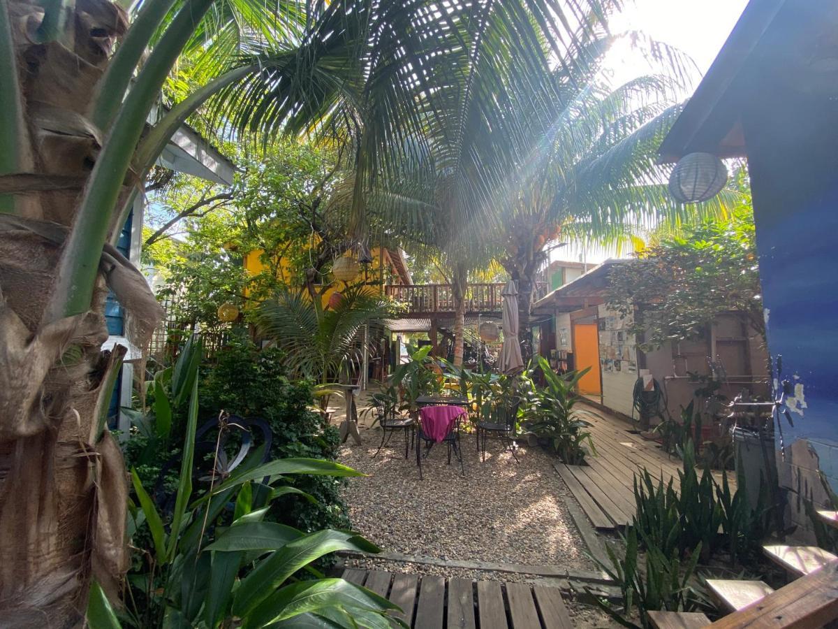 The Funky Dodo Backpackers Hostel Hopkins Buitenkant foto