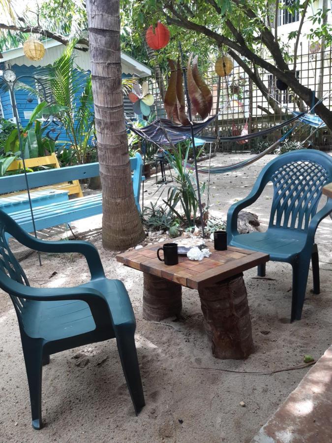 The Funky Dodo Backpackers Hostel Hopkins Buitenkant foto