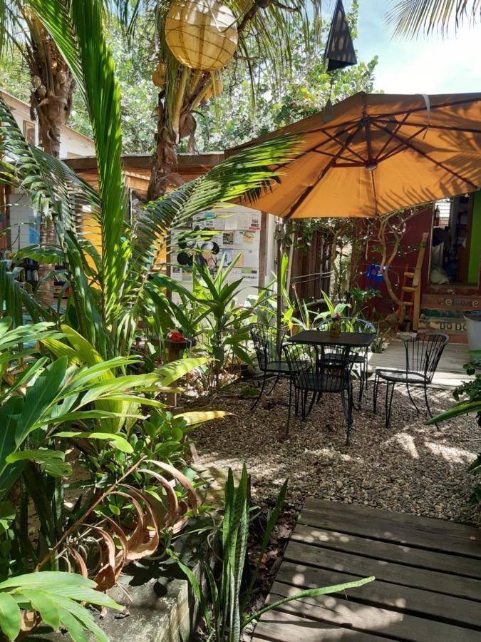 The Funky Dodo Backpackers Hostel Hopkins Buitenkant foto